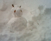 ファイル 751-1.jpg