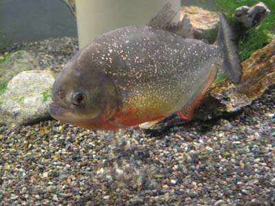 ファイル 761-3.jpg