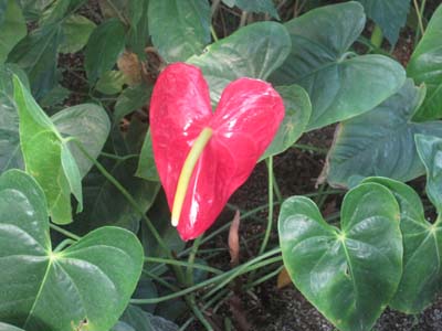 ファイル 761-4.jpg