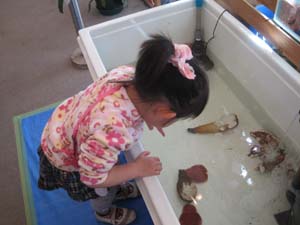 ファイル 826-2.jpg