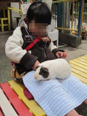 ファイル 830-2.jpg