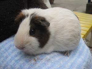 ファイル 830-3.jpg