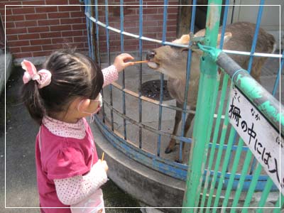 ファイル 846-2.jpg