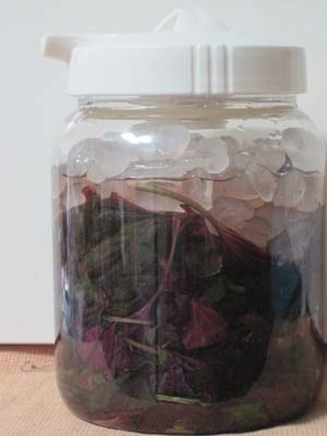 ファイル 898-1.jpg