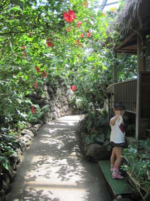 ファイル 925-1.jpg