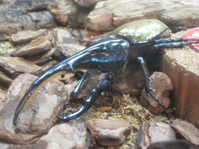 ファイル 925-3.jpg