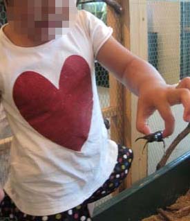 ファイル 925-4.jpg