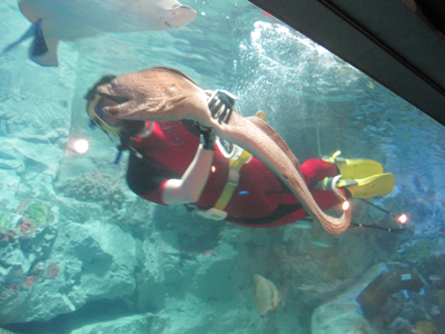 ファイル 926-2.jpg