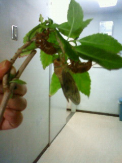 ファイル 934-3.jpg