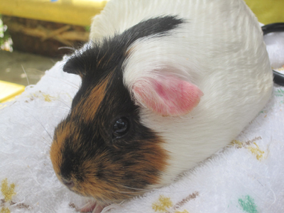 ファイル 943-1.jpg