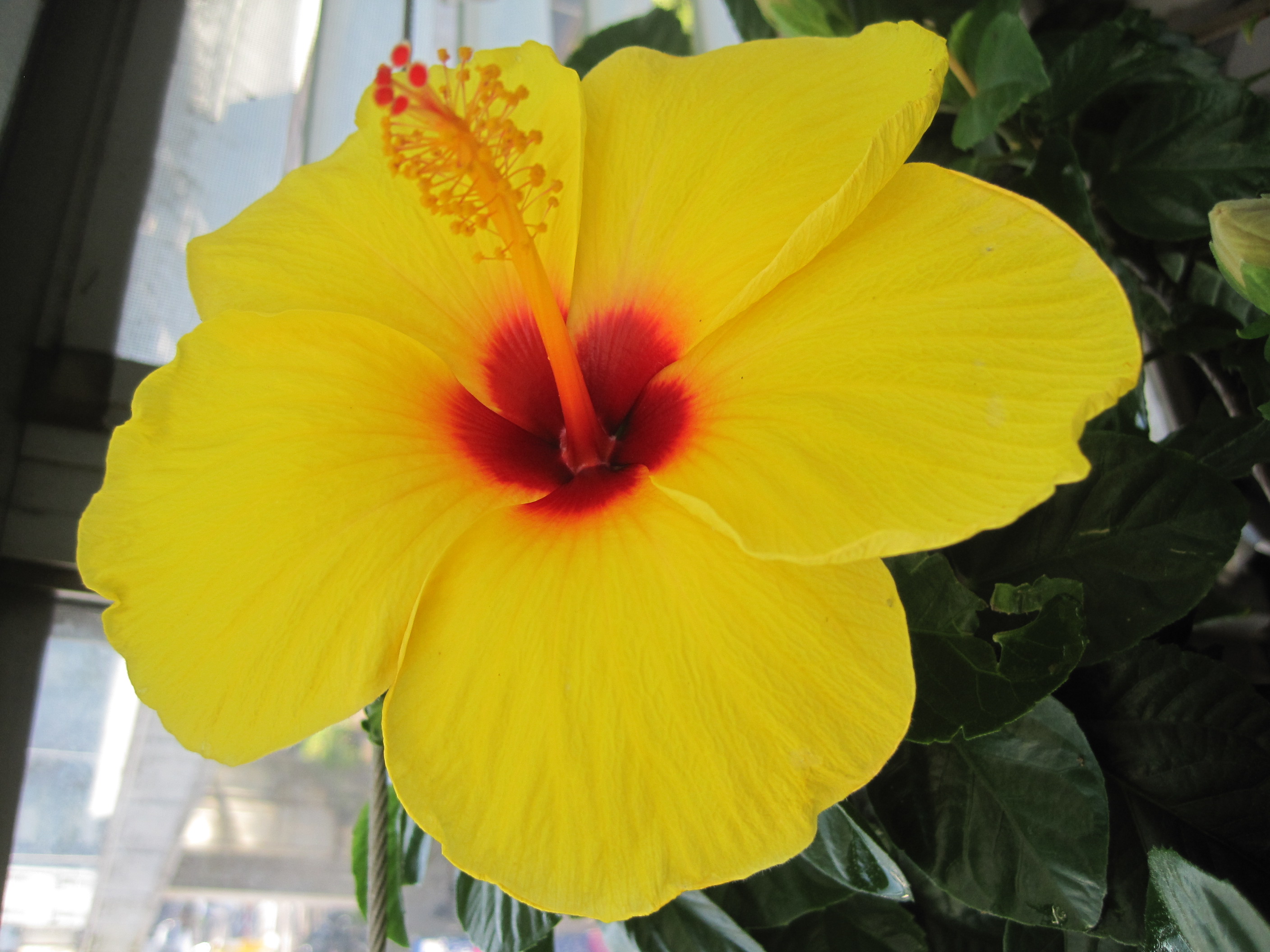 ãƒ•ã‚¡ã‚¤ãƒ« 1346-1.jpg