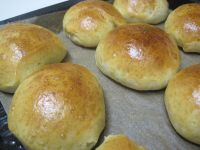 ファイル 1006-3.jpg