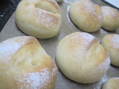 ファイル 1011-2.jpg