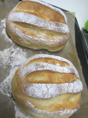 ファイル 1012-1.jpg