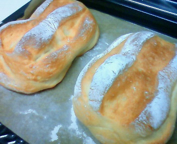 ãƒ•ã‚¡ã‚¤ãƒ« 1015-1.jpg