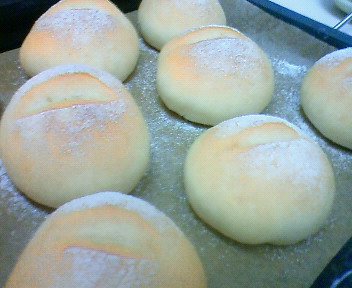 ãƒ•ã‚¡ã‚¤ãƒ« 1017-1.jpg