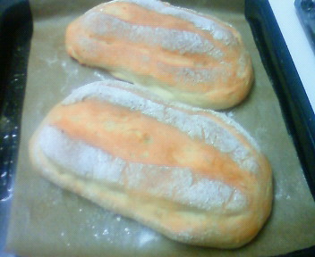 ãƒ•ã‚¡ã‚¤ãƒ« 1017-2.jpg