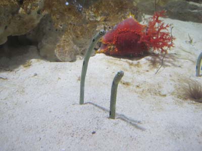 ãƒ•ã‚¡ã‚¤ãƒ« 1096-2.jpg