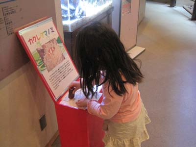 ãƒ•ã‚¡ã‚¤ãƒ« 1127-1.jpg