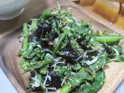 ファイル 1133-2.jpg