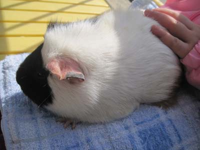 ãƒ•ã‚¡ã‚¤ãƒ« 1149-1.jpg