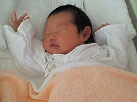 ãƒ•ã‚¡ã‚¤ãƒ« 115-1.jpg