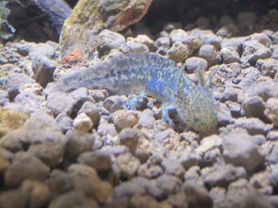 ファイル 1190-2.jpg