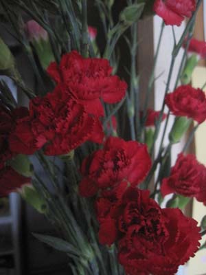 ファイル 1198-1.jpg