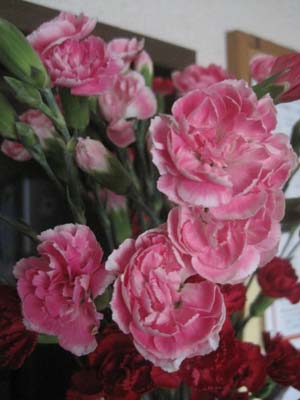 ファイル 1198-2.jpg