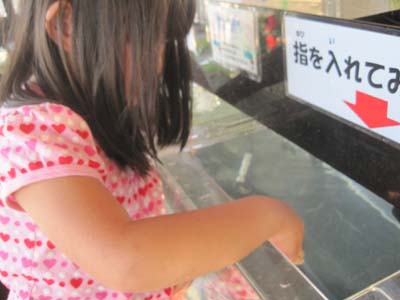 ãƒ•ã‚¡ã‚¤ãƒ« 1199-1.jpg