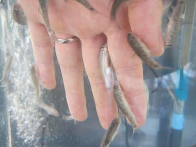 ãƒ•ã‚¡ã‚¤ãƒ« 1199-2.jpg