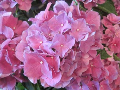 ファイル 1228-1.jpg