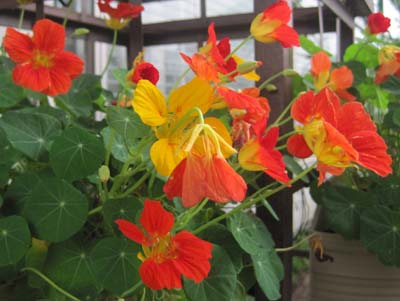 ファイル 1229-2.jpg