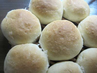 ファイル 1230-1.jpg