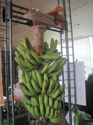 ファイル 1243-3.jpg