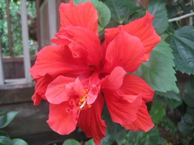 ファイル 1246-1.jpg