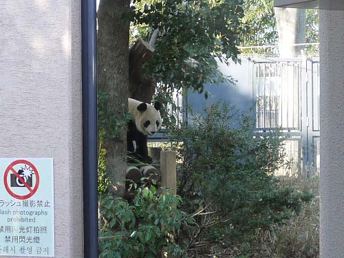 ãƒ•ã‚¡ã‚¤ãƒ« 1471-1.jpg