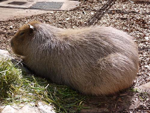 ãƒ•ã‚¡ã‚¤ãƒ« 1471-2.jpg