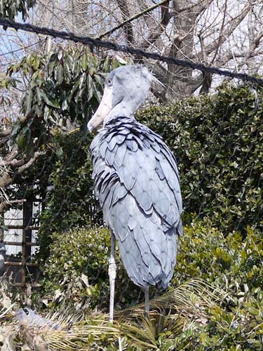 ãƒ•ã‚¡ã‚¤ãƒ« 1471-4.jpg