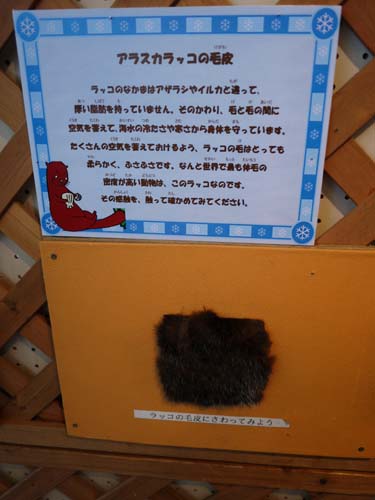 ãƒ•ã‚¡ã‚¤ãƒ« 1508-3.jpg