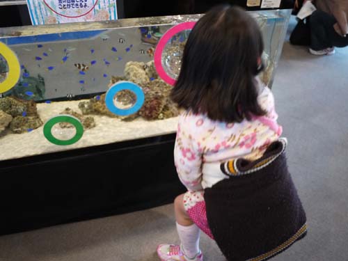 ãƒ•ã‚¡ã‚¤ãƒ« 1518-1.jpg