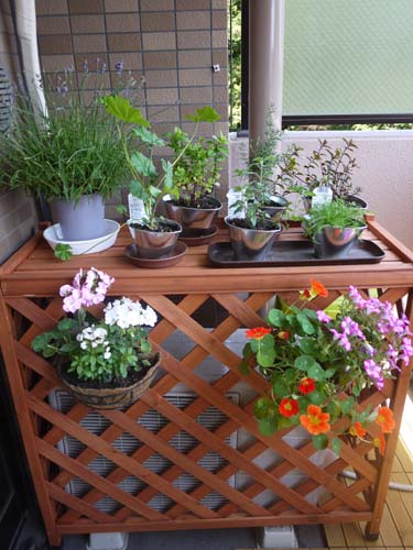 ãƒ•ã‚¡ã‚¤ãƒ« 1552-1.jpg