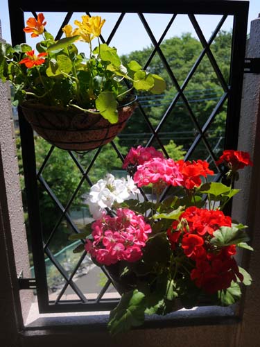 ãƒ•ã‚¡ã‚¤ãƒ« 1552-2.jpg