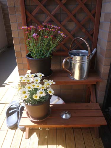 ãƒ•ã‚¡ã‚¤ãƒ« 1552-3.jpg