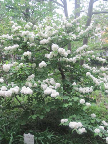 æ³£ãã®ï¼‘å›žï¼šBP60&amp;BC60