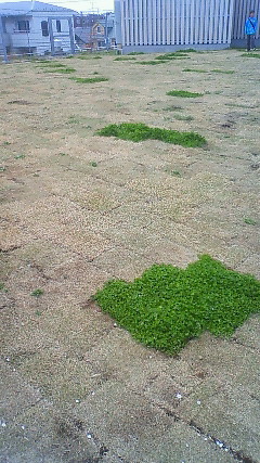 ファイル 1821-2.jpg