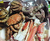 ãƒ•ã‚¡ã‚¤ãƒ« 393-3.jpg