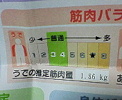 ãƒ•ã‚¡ã‚¤ãƒ« 438-1.jpg