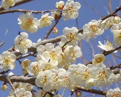 ãƒ•ã‚¡ã‚¤ãƒ« 445-1.jpg