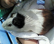 ファイル 475-2.jpg